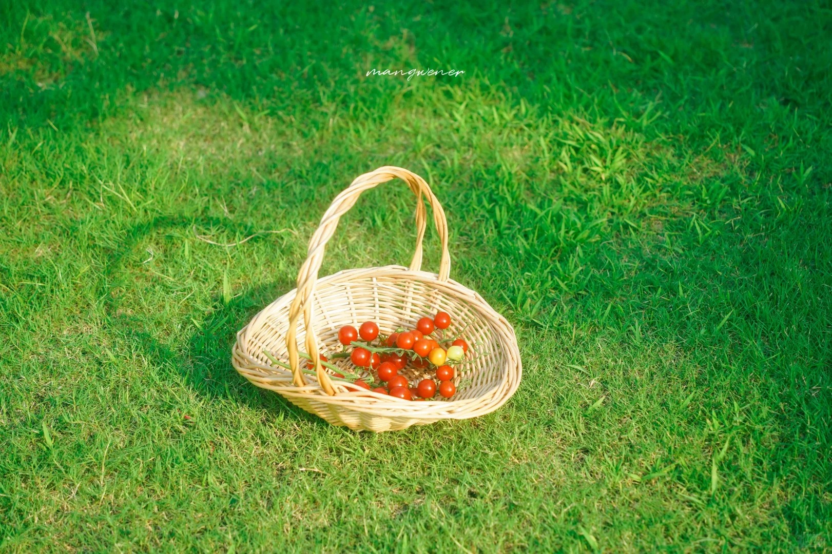 小满养阳 | 祛湿健脾 · 心静自凉