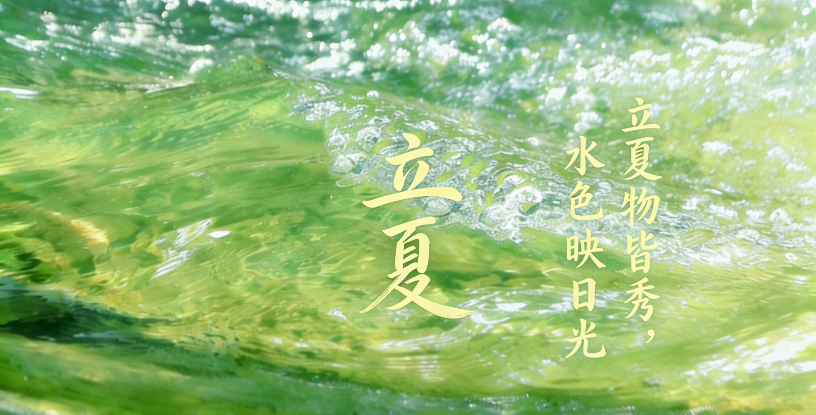 夏木葱茏·立夏物候