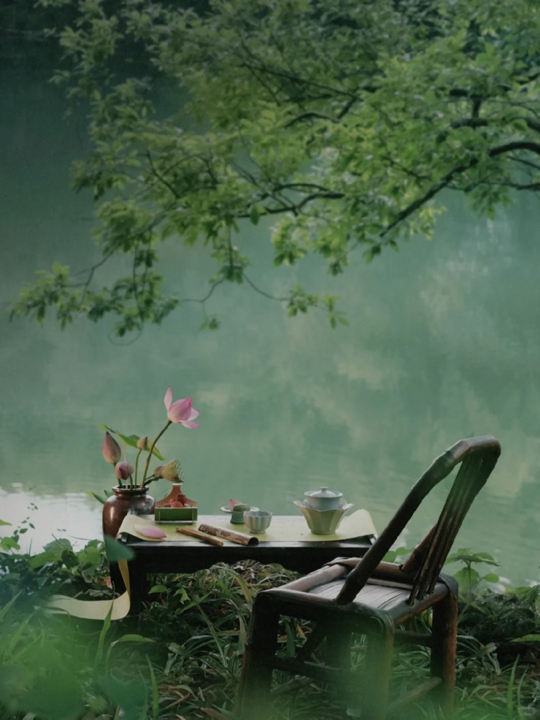小满养阳 | 祛湿健脾 · 心静自凉